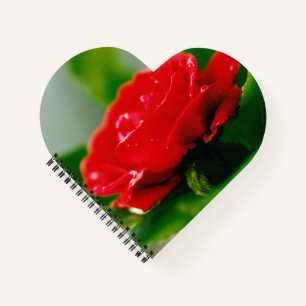 Matin Rouge Rose Coeur en forme de Carnet spiral