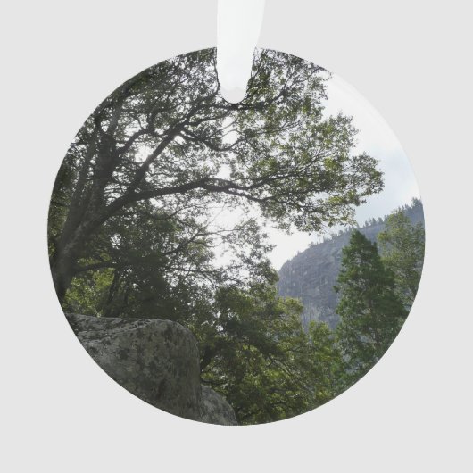 Matin sur le sentier à Vernal Falls à Yosemite (devant)