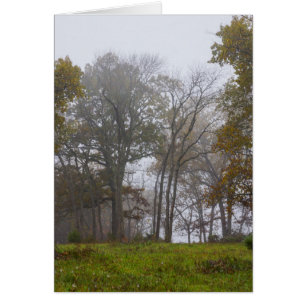 Matinée Brumeuse d'Automne à la Campagne