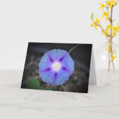 Matinée, carte (Fleur jaune)