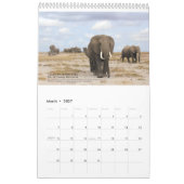 Matriarchs Calendar 2015 Kalender (Mar 2027)