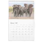 Matriarchs Calendar 2015 Kalender (Feb 2027)