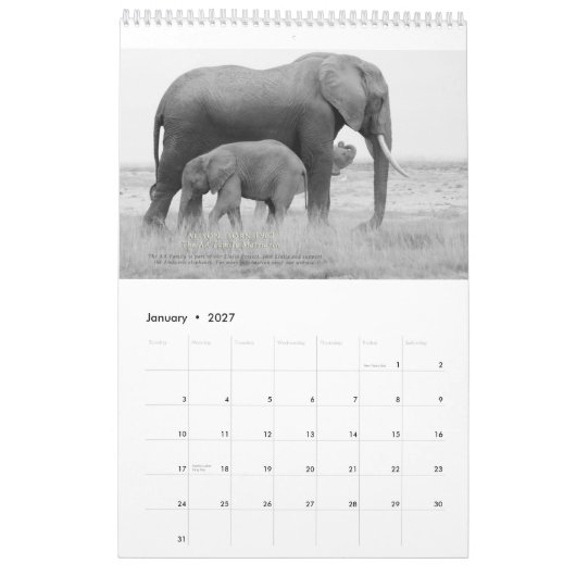 Matriarchs Calendar 2015 Kalender (Jan 2027)