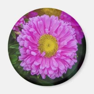 Matsumoto Flower magnet Magneet