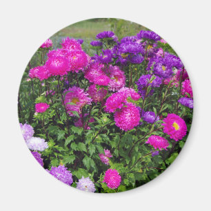 Matsumoto Flowers magnet Magneet