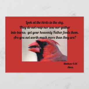 Matt 6 : 26 carte de voeux cardinale