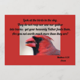 Matt 6: 26 kardinaal wenskaart kaart