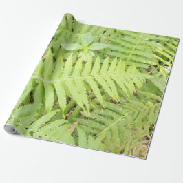 Matt Fern Wrapping Paper Cadeaupapier