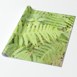 Matt Fern Wrapping Paper Cadeaupapier