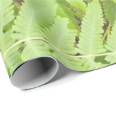 Matt Fern Wrapping Paper Cadeaupapier (Rol Hoek)