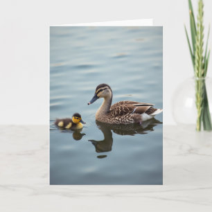 Matte Watervogelfamiliekaart Kaart