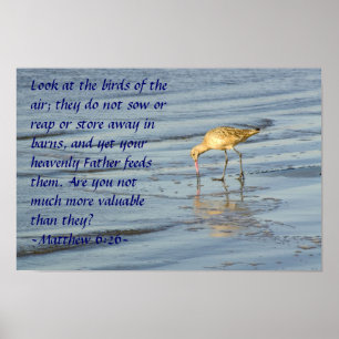 Mattheüs 6:26 Poster
