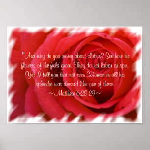 Mattheüs 6:28-29 Poster 2