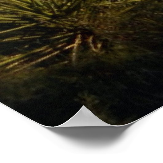 Matthew 11:28 KJV Wall Art –  Scripture Poster (Coin)