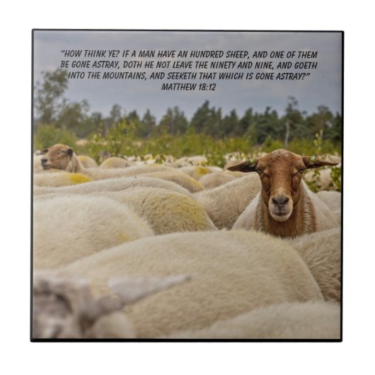 Matthew 18:12 tegeltje (Voorkant)