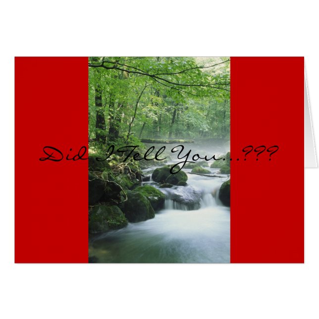 Matthew 19:6 (Voorkant Horizontaal)