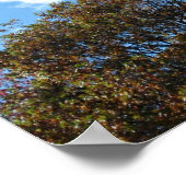 Matthew 28:"19 Ga dus een disciples maken... Poster (Hoek)