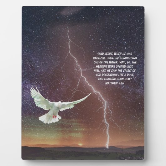 MATTHEW 3:16 FOTOPLAAT (Voorkant)