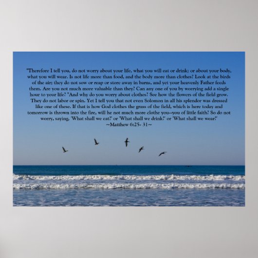 Matthew 6:25-31 Poster (Voorkant)