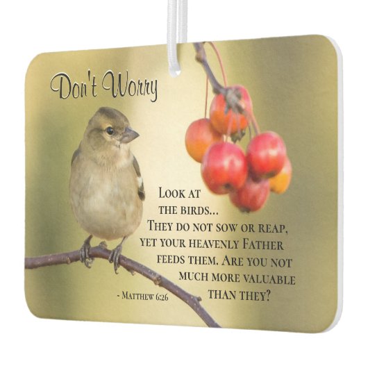 Matthew 6:26 Bijbelversie, maak je geen zorgen Luchtverfrisser (Links)