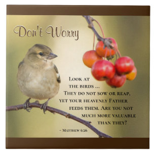 Matthew 6:26 Bijbelversie, maak je geen zorgen Tegeltje