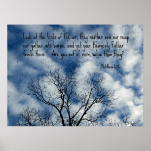 Matthew 6:26 Kijk naar de vogels van de lucht... Poster