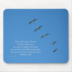 Matthew 6:26 muismat