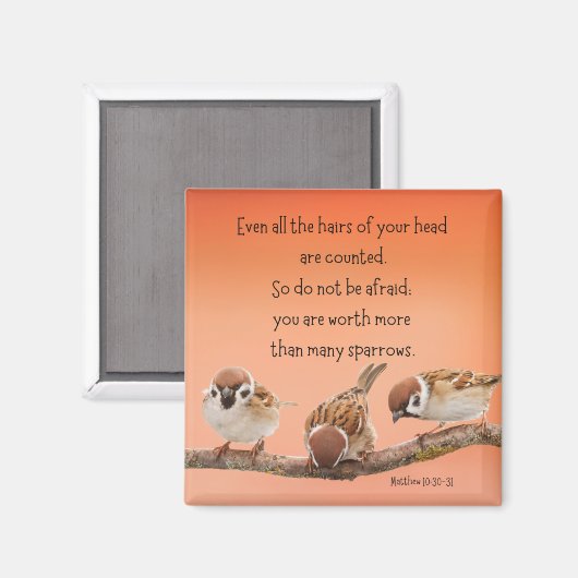 Matthieu 10:30-31 2" Magnet (Recto/Verso)