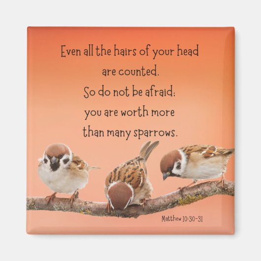 Matthieu 10:30-31 2" Magnet (Devant)