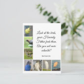 Matthieu 6:26 Carte postale (Debout devant)