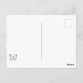 Matthieu 6:26 Carte postale (Dos)