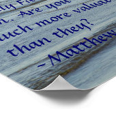 Matthieu 6:26 Poster (Coin)