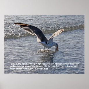 Matthieu 6:26 Poster des écritures