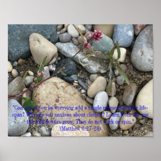 Matthieu 6:27-28 Poster