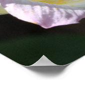 Matthieu 6:28 & 29 Ecriture Poster (Coin)