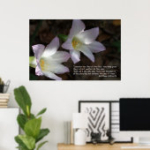 Matthieu 6:28 & 29 Ecriture Poster (Bureau à domicile)