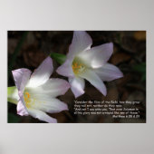 Matthieu 6:28 & 29 Ecriture Poster (Devant)