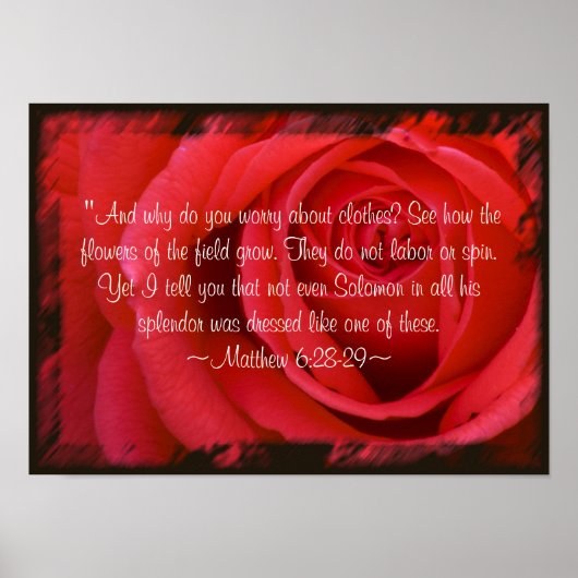 Matthieu 6:28-29 Poster (Devant)
