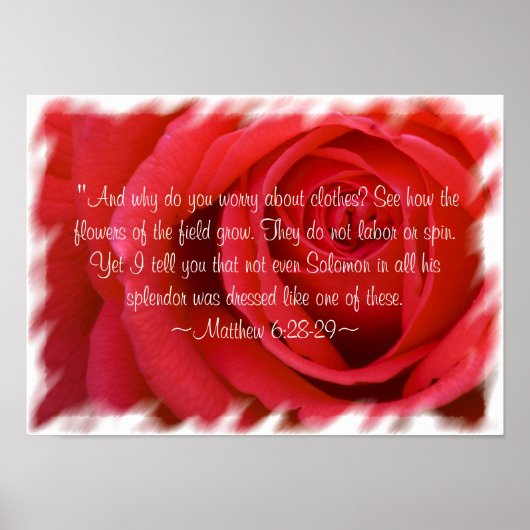 Matthieu 6:28-29 Poster 2 (Devant)