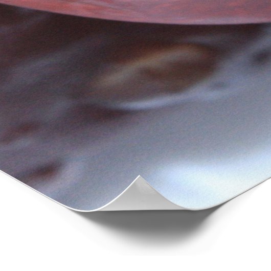 Matthieu 7:19, 20 Ecriture Poster (Coin)