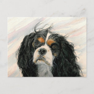 Mattie the King Charles Cavalier Spaniel Briefkaart