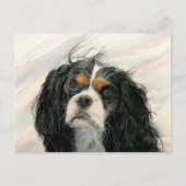 Mattie the King Charles Cavalier Spaniel Briefkaart (Voorkant)