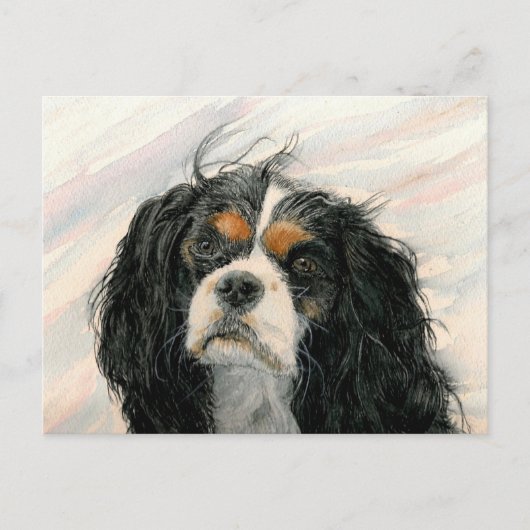 Mattie the King Charles Cavalier Spaniel Briefkaart (Voorkant)