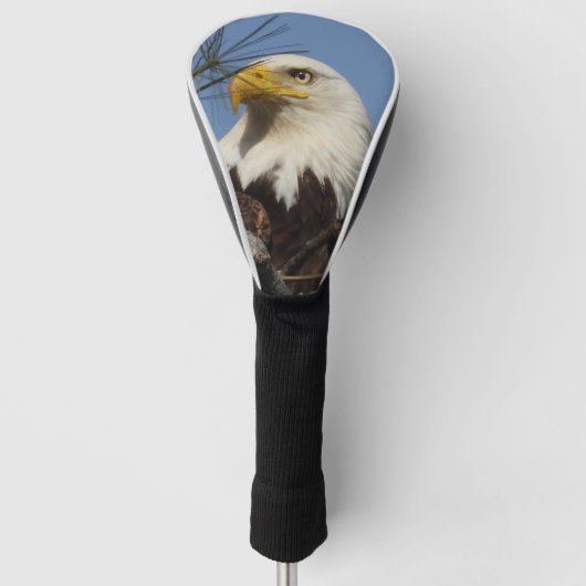 Mature Bald Eagle Close Up Head Golfheadcover (Voorkant)