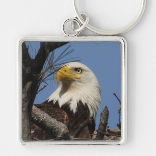 Mature Bald Eagle Close Up Head Sleutelhanger