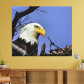 Mature Bald Eagle in Nest Canvas Afdruk (Insitu (Woonkamer))