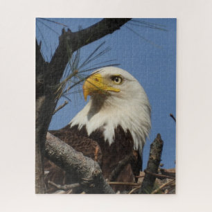 Mature Bald Eagle in Nest Jigzaag Puzzle Legpuzzel