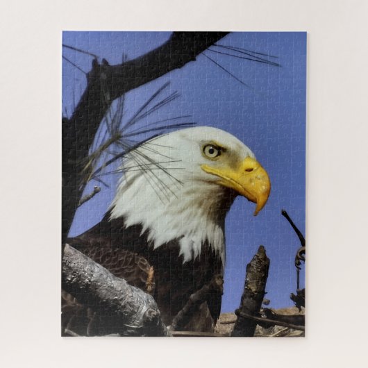 Mature Bald Eagle in Nest Legpuzzel (Verticaal)
