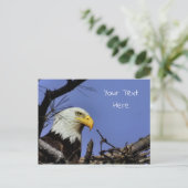 Mature Bald Eagle in Nest *Personalize* Briefkaart (Staand voorkant)