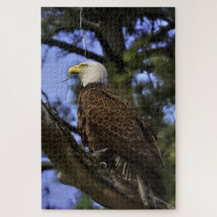 Mature Bald Eagle Jigsaw Puzzle Legpuzzel